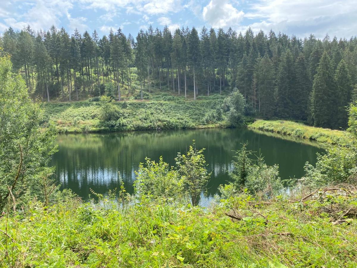Hohensee Eg * Clausthal-Zellerfeld